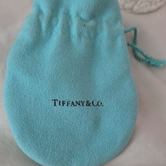 Tiffany & Co. Turquoise Pouch - Picture 2 of 4